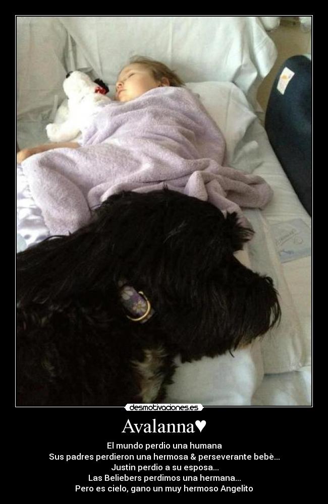 Avalanna♥ - El mundo perdio una humana
Sus padres perdieron una hermosa & perseverante bebè...
Justin perdio a su esposa...
Las Beliebers perdimos una hermana...
Pero es cielo, gano un muy hermoso Angelito♥