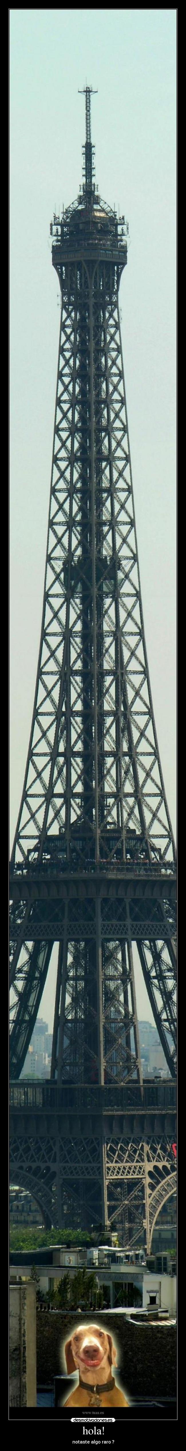 hola! - notaste algo raro ?