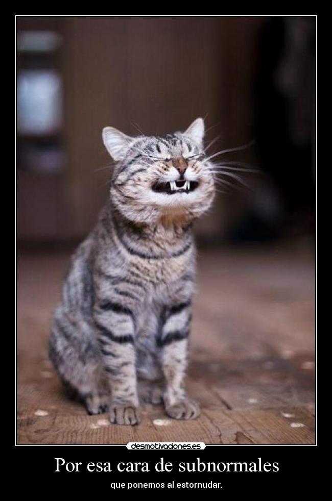 Por esa cara de subnormales - que ponemos al estornudar.