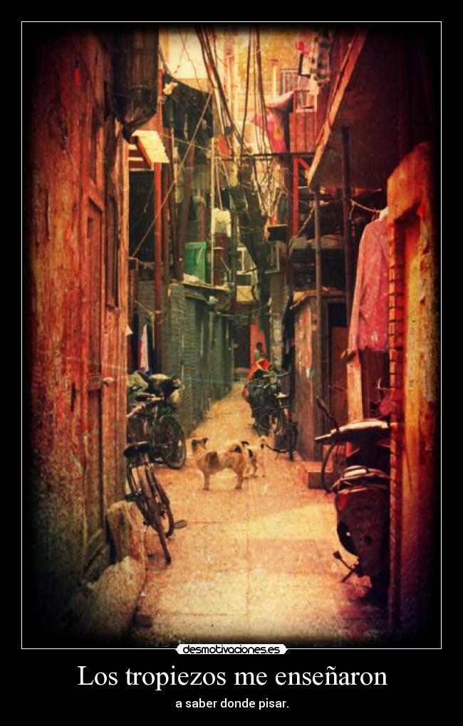 carteles true desmotivaciones