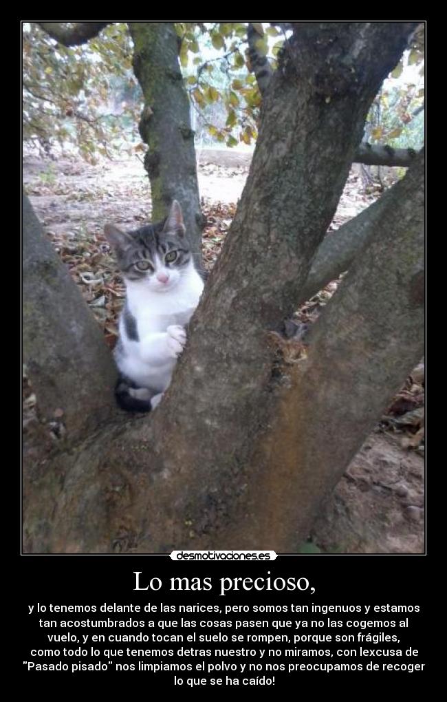 carteles any person desmotivaciones