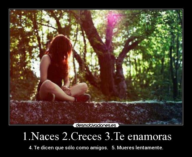 1.Naces 2.Creces 3.Te enamoras -