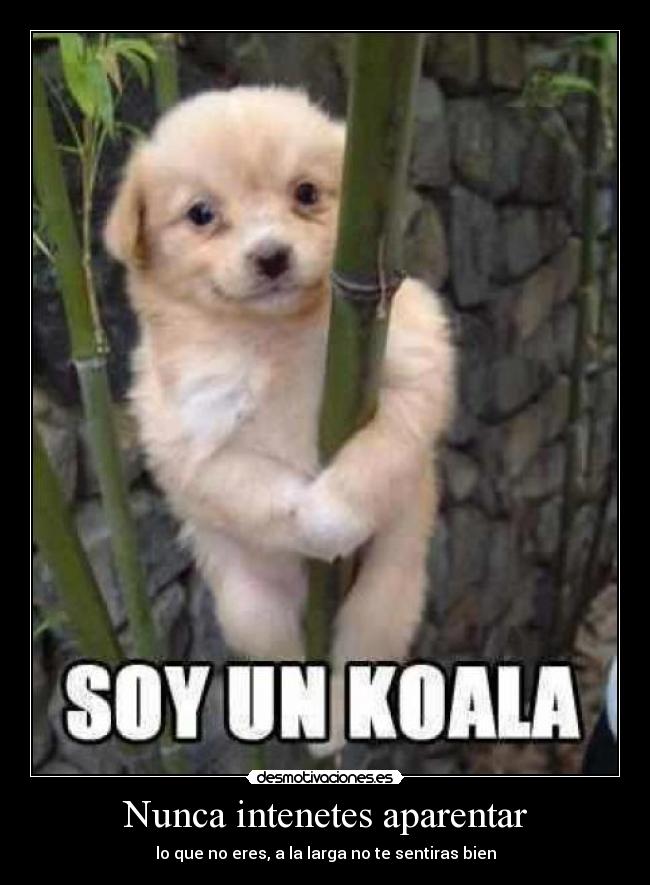 Imágenes y Carteles de APARENTAR Pag. 13 Desmotivaciones