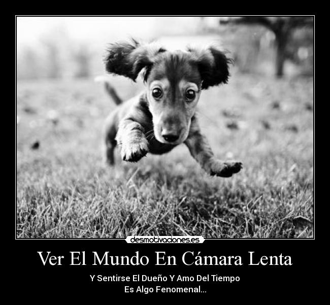 Ver El Mundo En Cámara Lenta - Y Sentirse El Dueño Y Amo Del Tiempo
Es Algo Fenomenal...