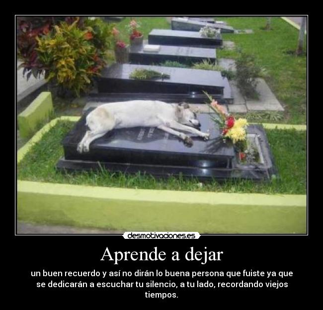Aprende a dejar - 