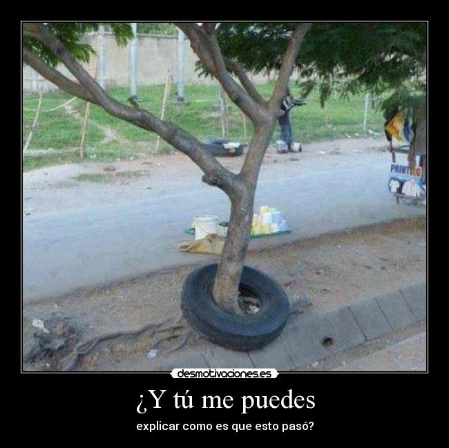 carteles tu puedes explicar como que esto paso desmotivaciones