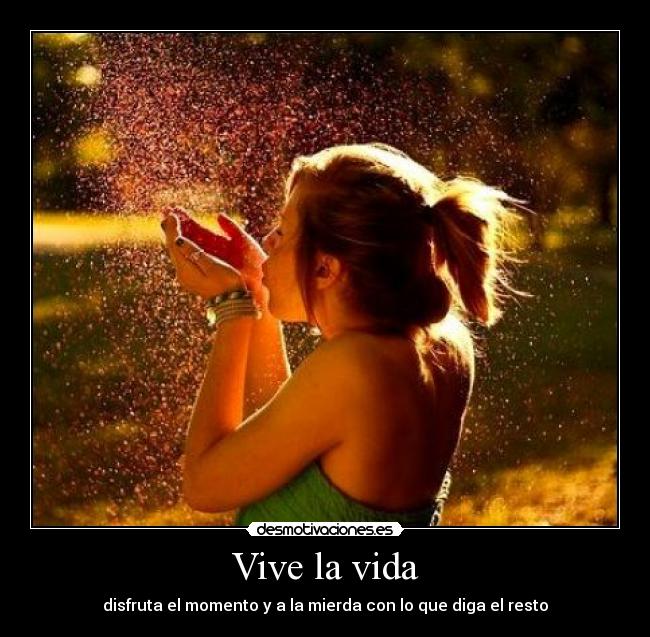 carteles vida frases desmotivaciones