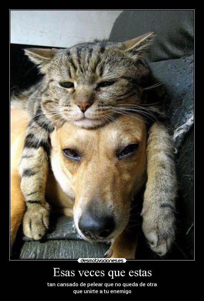 Esas veces que estas -