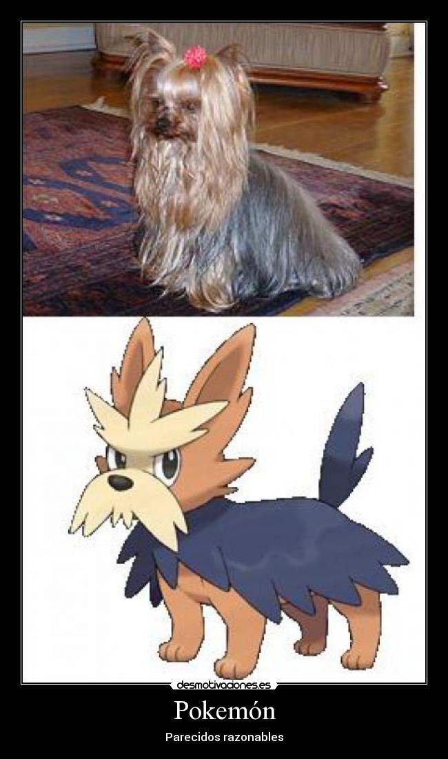 Pokemón - Parecidos razonables