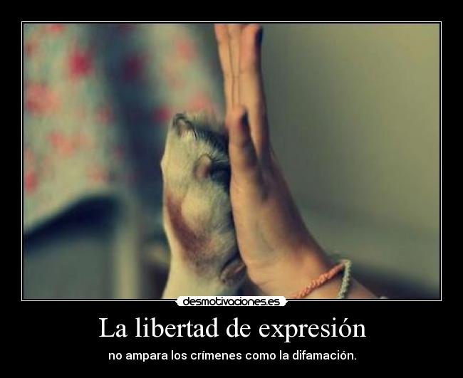 La libertad de expresión - 