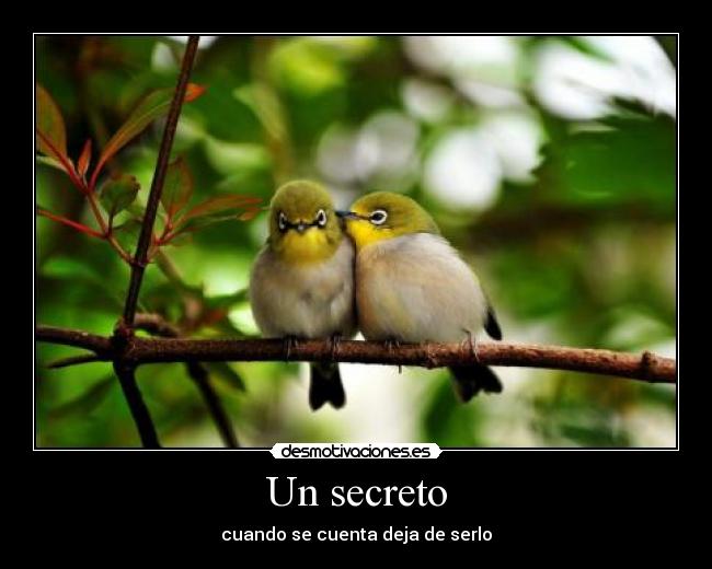 Un secreto -