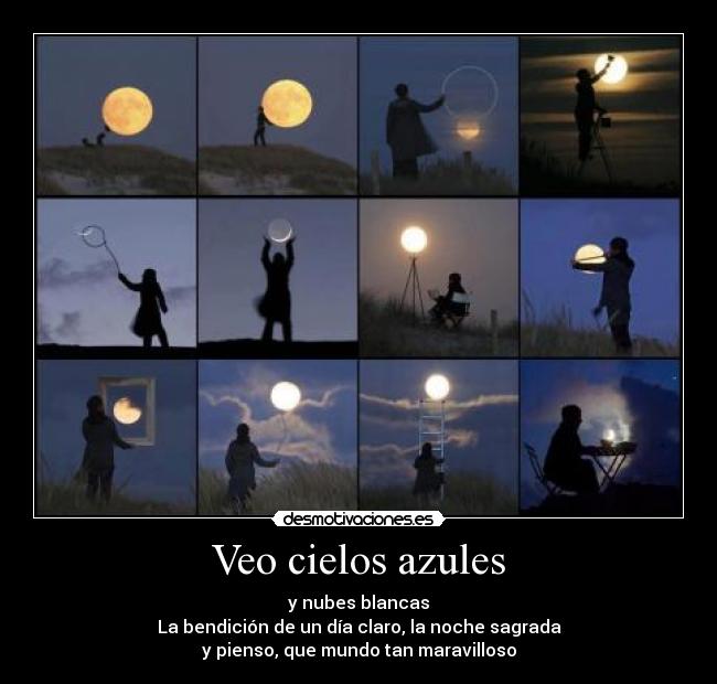 carteles wonderful desmotivaciones