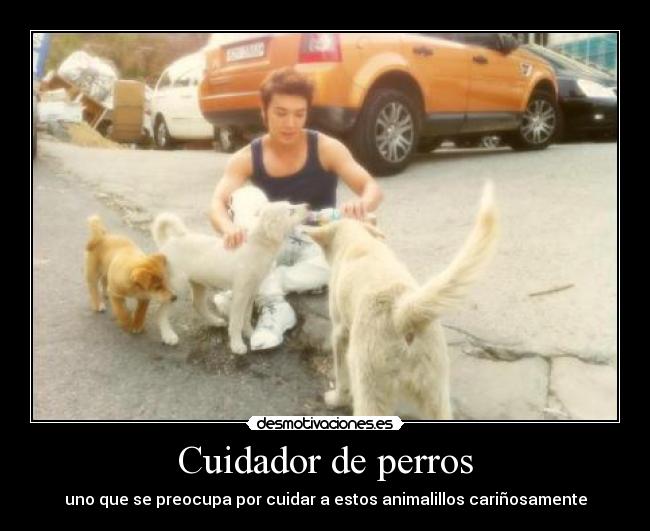Cuidador de perros -