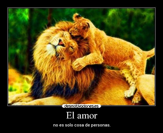 El amor - no es solo cosa de personas.