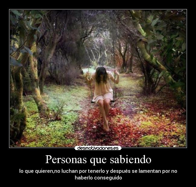 carteles mariposa monarca desmotivaciones