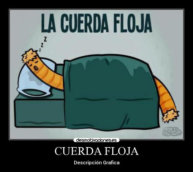 CUERDA FLOJA - Descripción Grafica