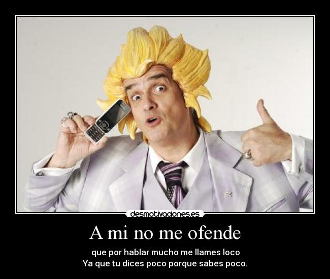 carteles ofende hablar loco dice poco sabes desmotivaciones