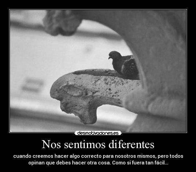 Nos sentimos diferentes - 