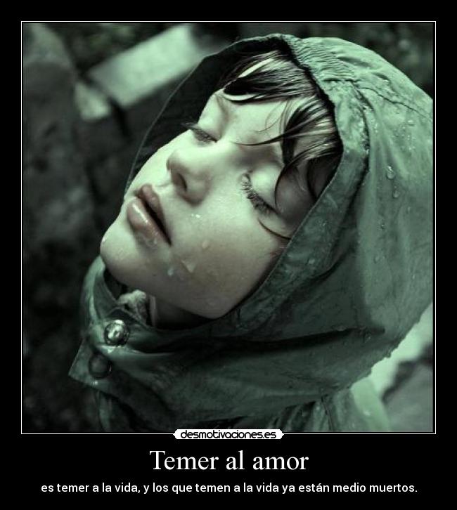 carteles amor apoyo julian assange encanta foto desmotivaciones