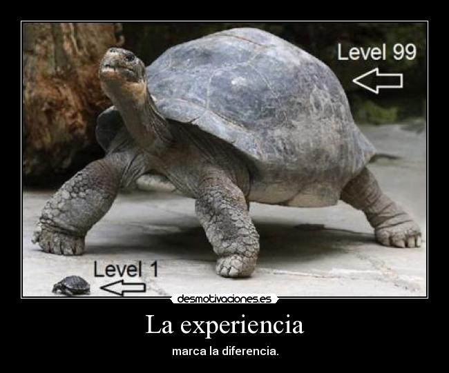 La experiencia - marca la diferencia.
