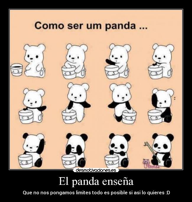 El panda enseña -