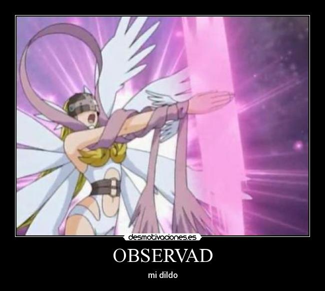 OBSERVAD - 