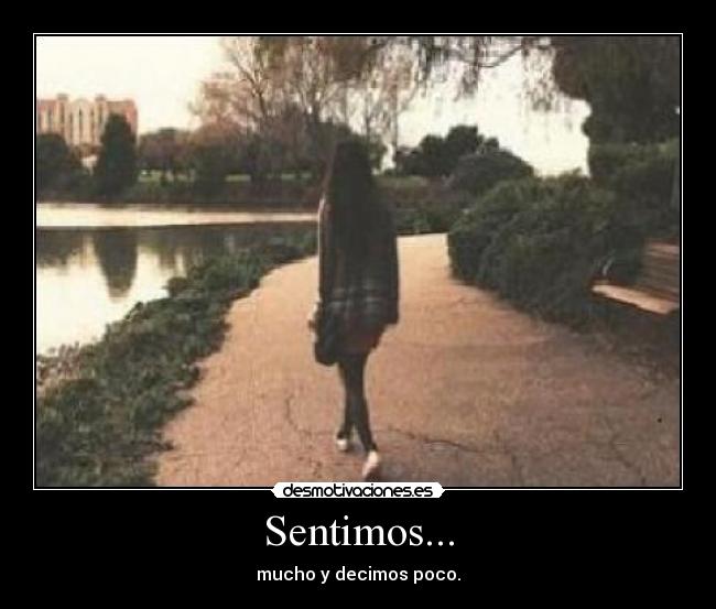Sentimos... -