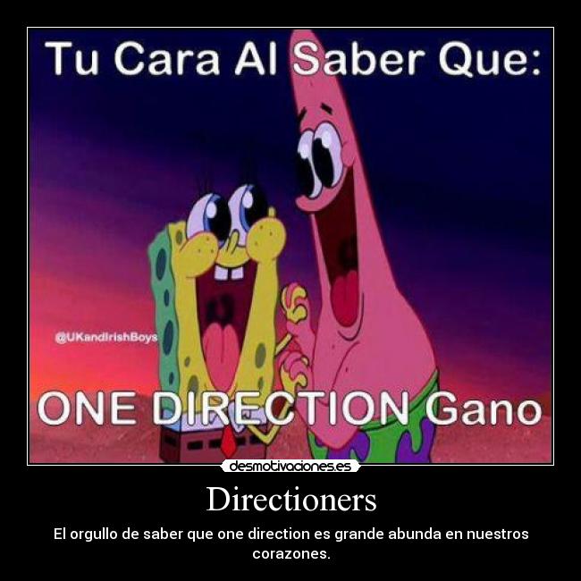 Directioners - 
