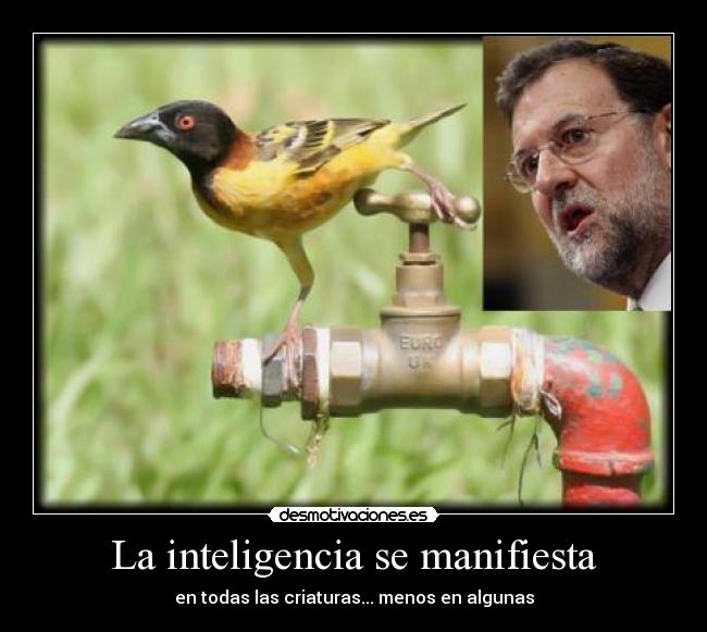 carteles humor desmotivaciones