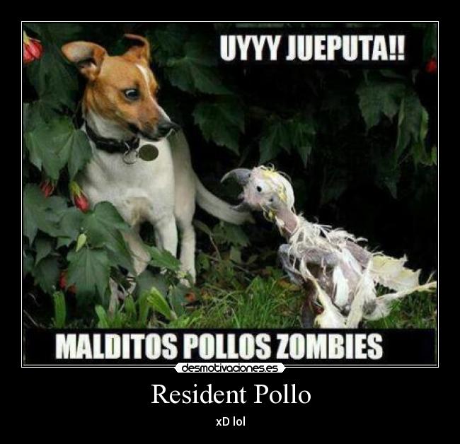 Resident Pollo - xD lol