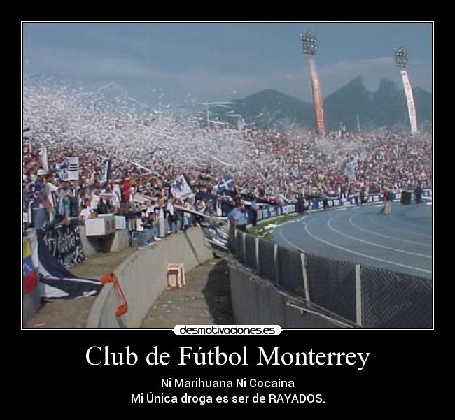 Club de Fútbol Monterrey - Ni Marihuana Ni Cocaína
Mi Única droga es ser de RAYADOS.