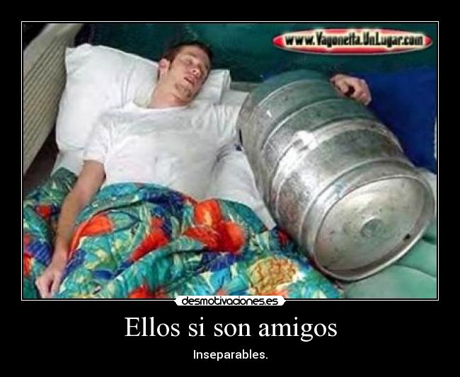 Ellos si son amigos - Inseparables.
