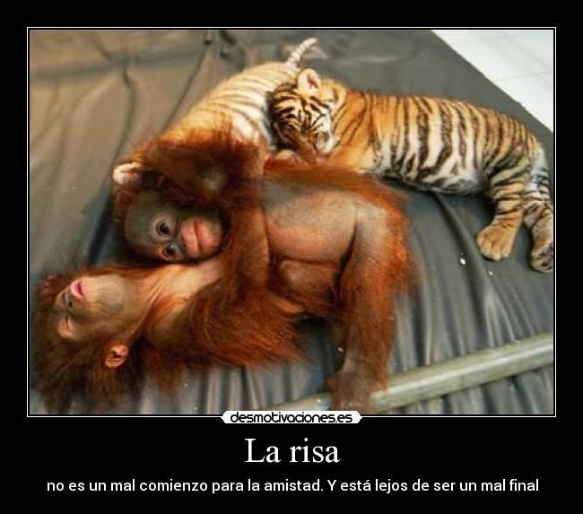 carteles risa oscar wilde desmotivaciones