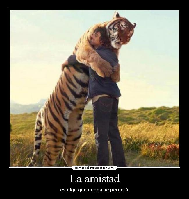 La amistad -