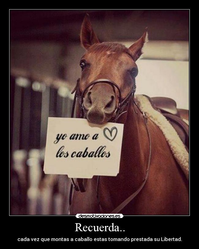 carteles cada vez que montamos caballo tomamos prestada libertad recodando que animal noble fiel desmotivaciones