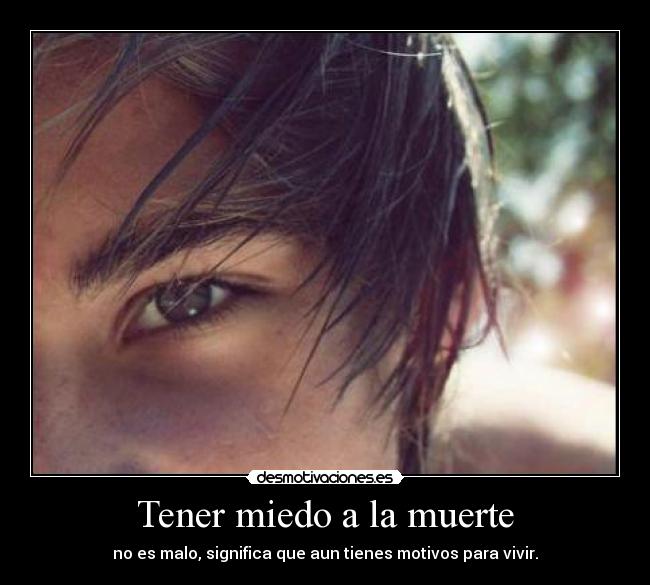 carteles miedo muerte muerte amor soledad carino miedos verguenza desmotivaciones