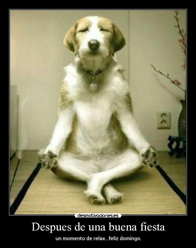 Despues de una buena fiesta -