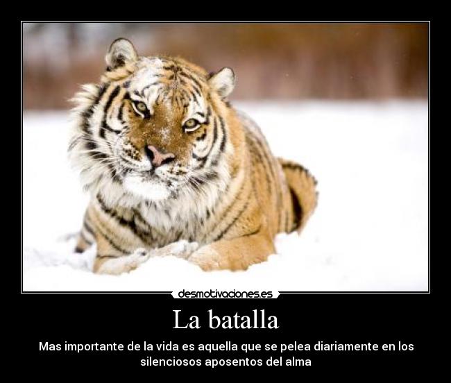 La batalla - Mas importante de la vida es aquella que se pelea diariamente en los
silenciosos aposentos del alma