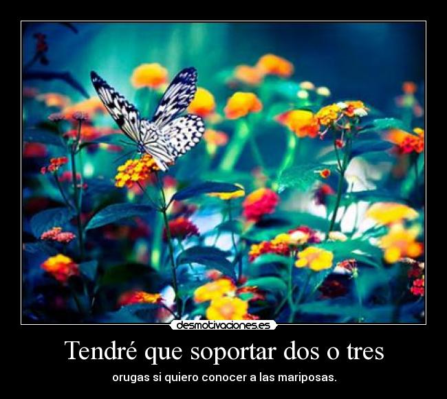 Tendré que soportar dos o tres - 