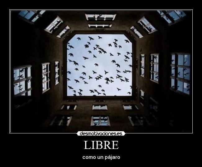 carteles fantasia desmotivaciones