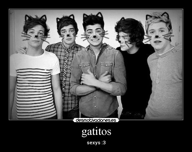 gatitos -