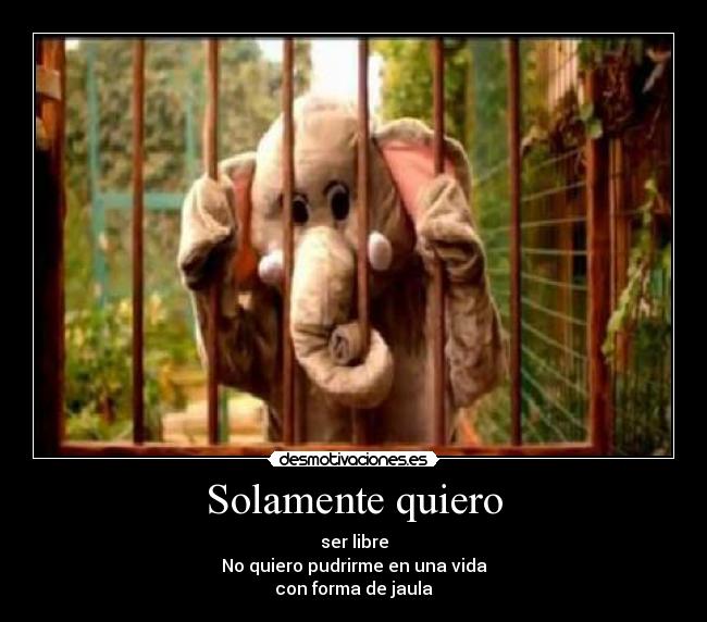 Solamente quiero - 