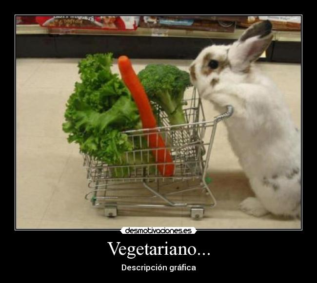 Vegetariano... - Descripción gráfica