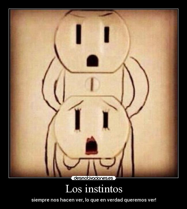 Los instintos - siempre nos hacen ver, lo que en verdad queremos ver!