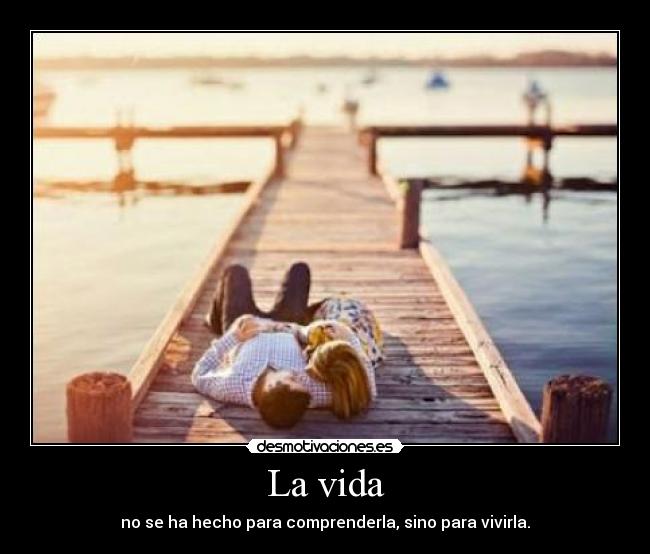 La vida - no se ha hecho para comprenderla, sino para vivirla.