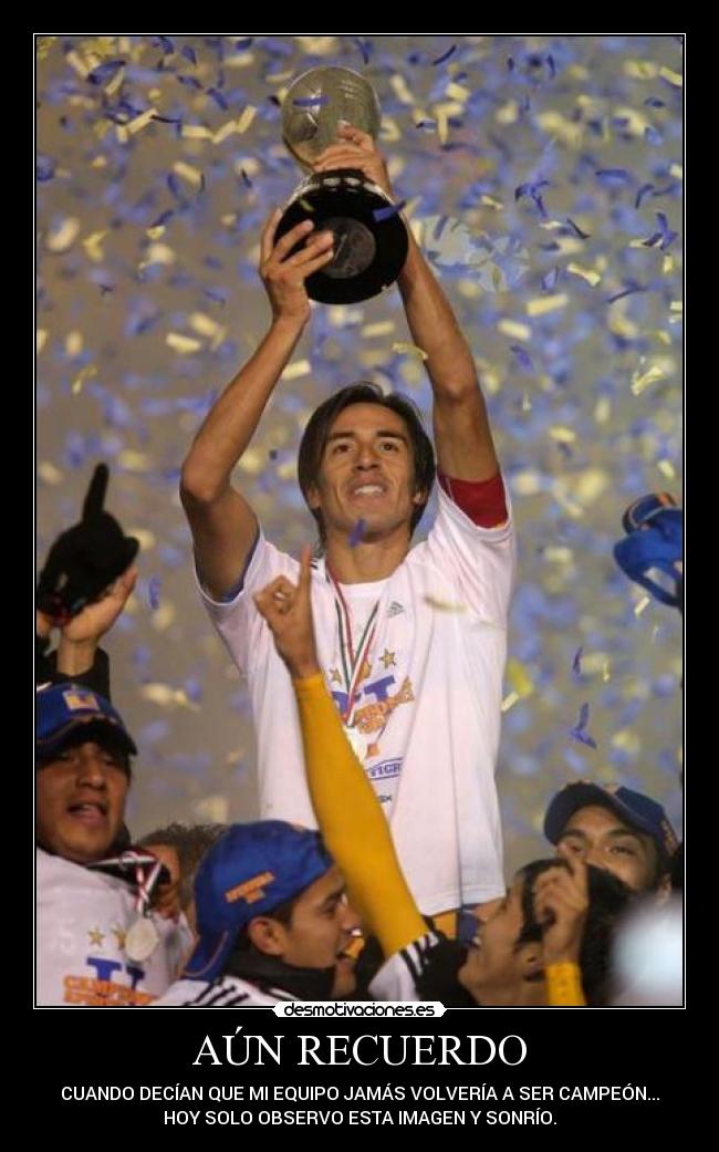 carteles tigres desmotivaciones