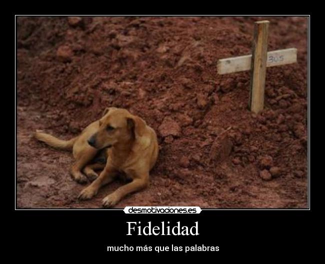 carteles fidelidad desmotivaciones