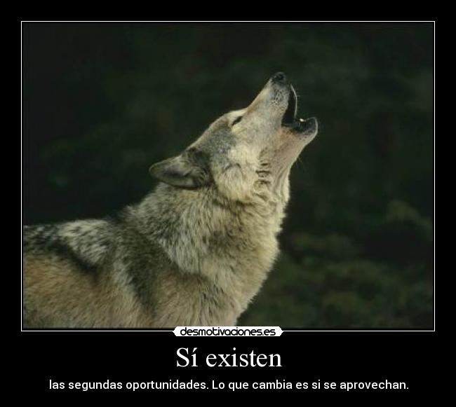 Sí existen - las segundas oportunidades. Lo que cambia es si se aprovechan.