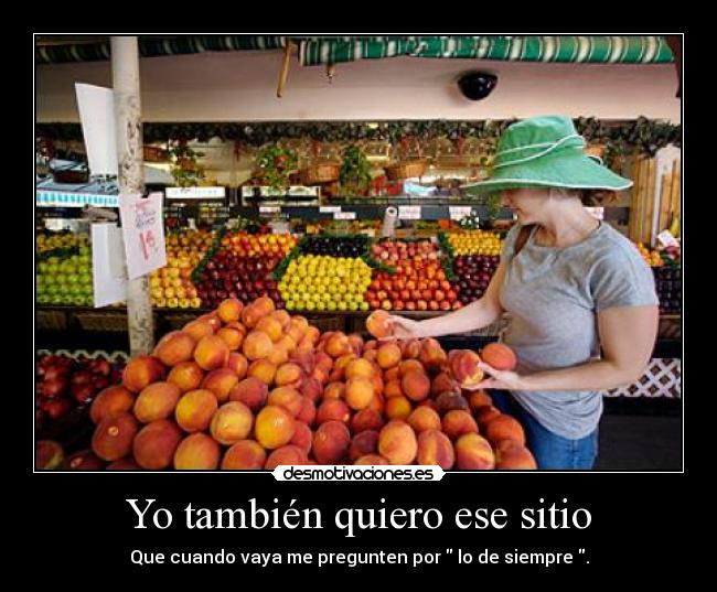 Yo también quiero ese sitio -