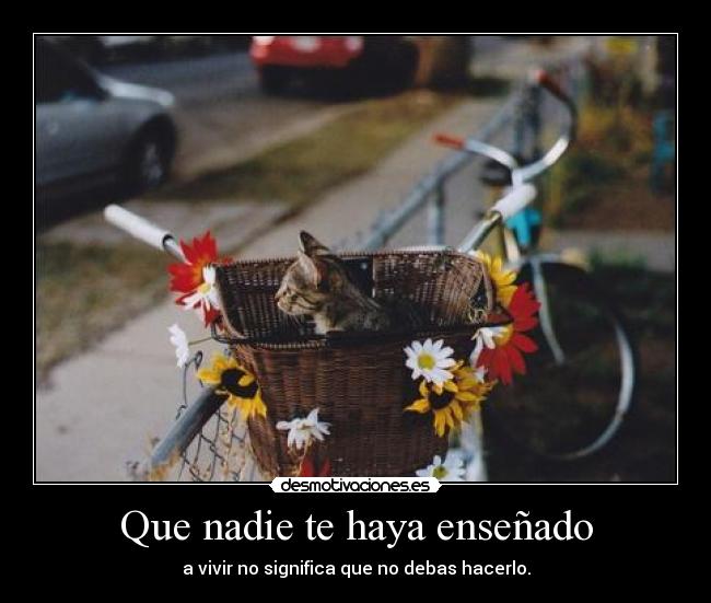 carteles deivod mvr desmo02 pobre gatito ahi solito desmotivaciones